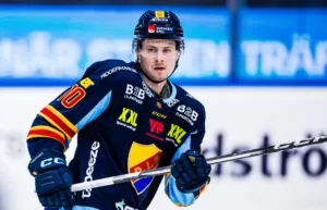 Uppgifter: Där hamnar djurgårdsbacken