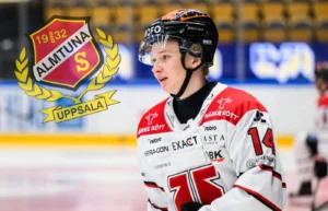 Hockeyallsvenska klubben lånar SHL-forward