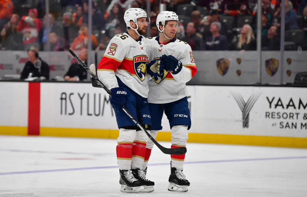 Svensken kallas upp till NHL – får säsongsdebutera