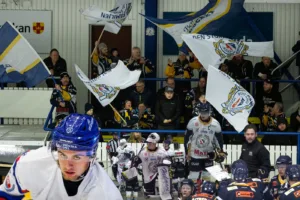 Hockeyettan spelare för spelare: Borlänge – ”Mr Reliable och Mr Pausfint”