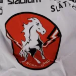 Vita Hästens fina svit håller i sig efter 6–2 mot Hanviken