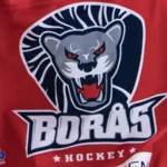 Målfest när Borås krossade Nyköping i Borås Ishall