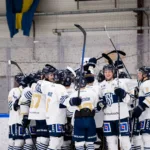 Sundsvall bröt Forshagas fina vinstsvit