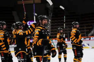 Seger för Skellefteå AIK – steg åt rätt håll mot SDE