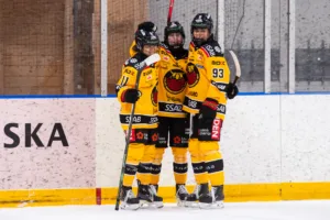 Luleå vann på hemmaplan mot Linköping