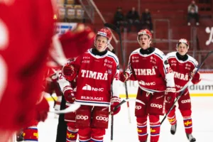 Timrå U20 avgjorde i sista perioden och vann mot Skellefteå AIK U20