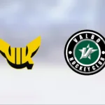 Alfred Örnberg tvåmålsskytt när VIK Hockey U18 vann mot Valbo J18