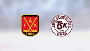 Ånge U18 vann mot Tegs SK U18 – efter mål av Artem Gunko