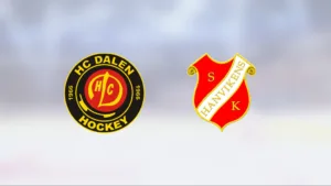 Hanviken besegrade Dalen med 6–3