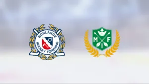 Malung ny serieledare efter seger mot Borlänge Hockey 2