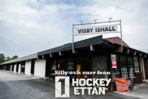 Silly och surr: ”Så ska miljonerna användas”