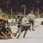 SHL 50 år: Historien bakom elitseriens födelse