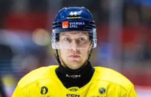 Uppgifter: Ger sig in i jakten på Ejdsell