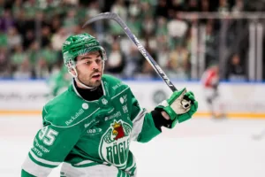 Succéns sågning: ”Det måste vi lägga av med”