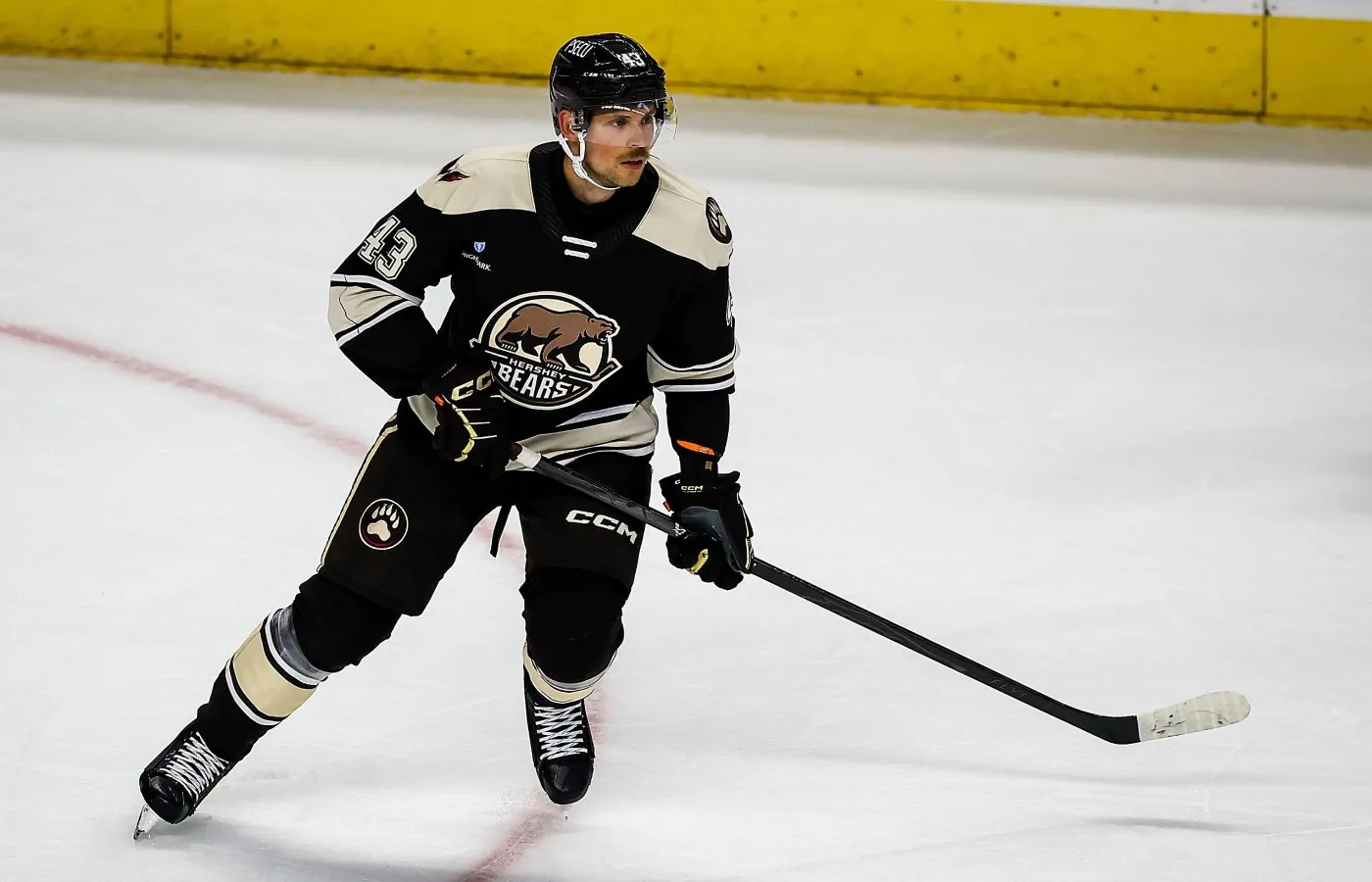Calle Rosén Hershey Bears