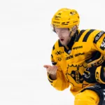 Skellefteå-kuggen tillbaka i spel: ”Känns så jäkla bra”