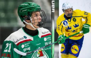 Rögles stortalang får SHL-debutera: ”En dröm”