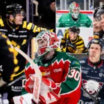 Tio SHL-spelare som kan skriva NHL-kontrakt