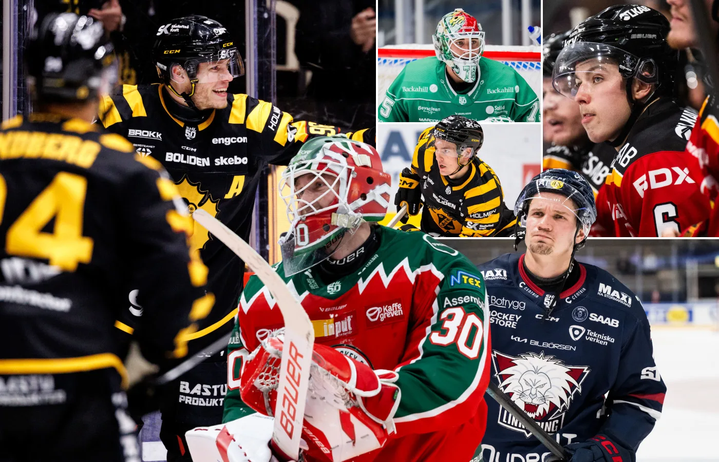 Tio SHL-spelare som kan skriva NHL-kontrakt
