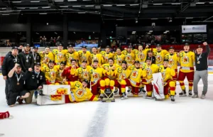 Smålands guldlag: Kommentarer om ALLA spelare