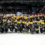 Värmlands guldlag: Kommentarer om ALLA spelare