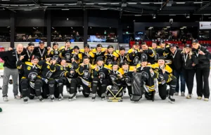 Värmlands guldlag: Kommentarer om ALLA spelare