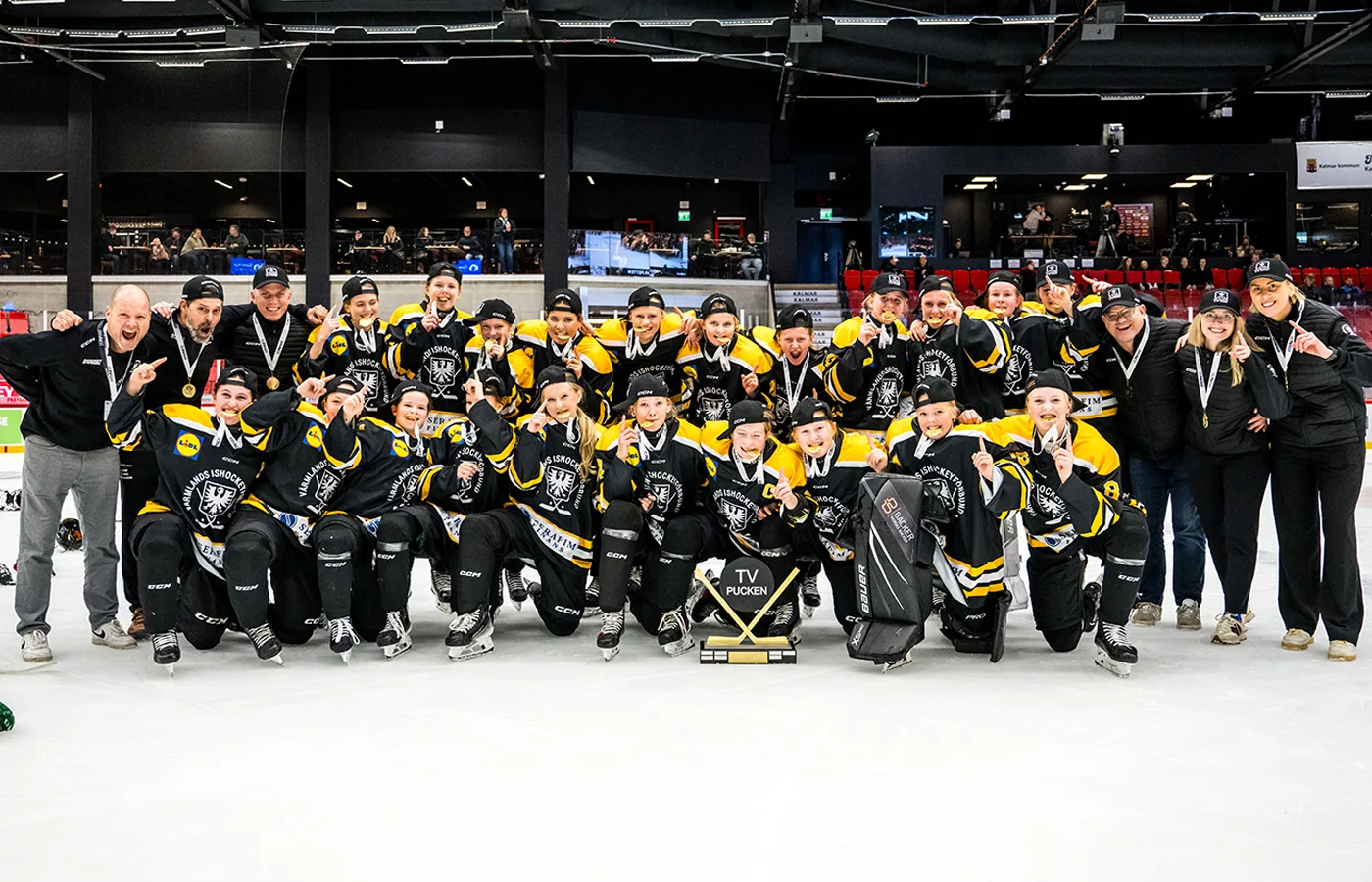 Värmlands guldlag: Kommentarer om ALLA spelare