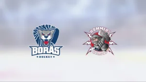 Borås vann efter förlängning mot Halmstad J18