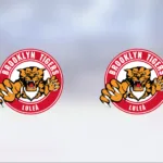 Brooklyn Tigers HF U18 utklassade Brooklyn Tigers UHF U18 – seger med 9–1