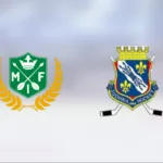 Malung utklassade Ludvika/Smedjebacken – vann med 8–2