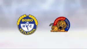 Ny seger för Boro/Vetlanda mot drömmotståndet