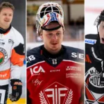 I det allsvenska blickfånget – Hockeyettan-spelarna på väg uppåt