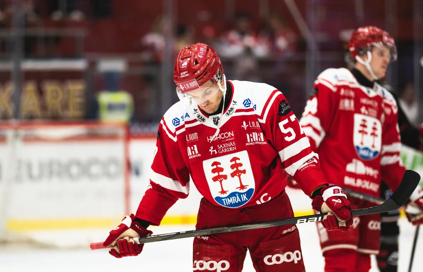 Mardrömsbeskedet: Timrå kan behöva klara sig utan stjärnan