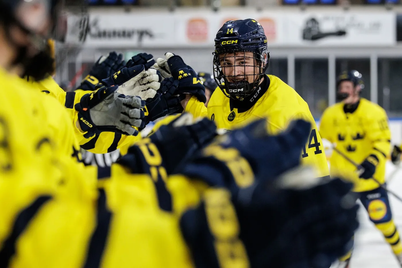 MoDo-talangens show – i Sveriges överkörning