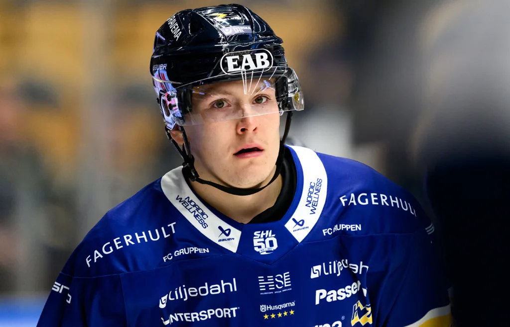 Eddie Levin. HV71.