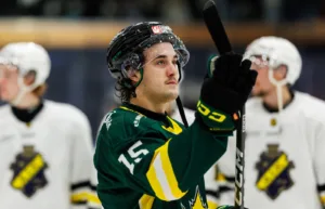 Får ny chans i Hockeyallsvenskan