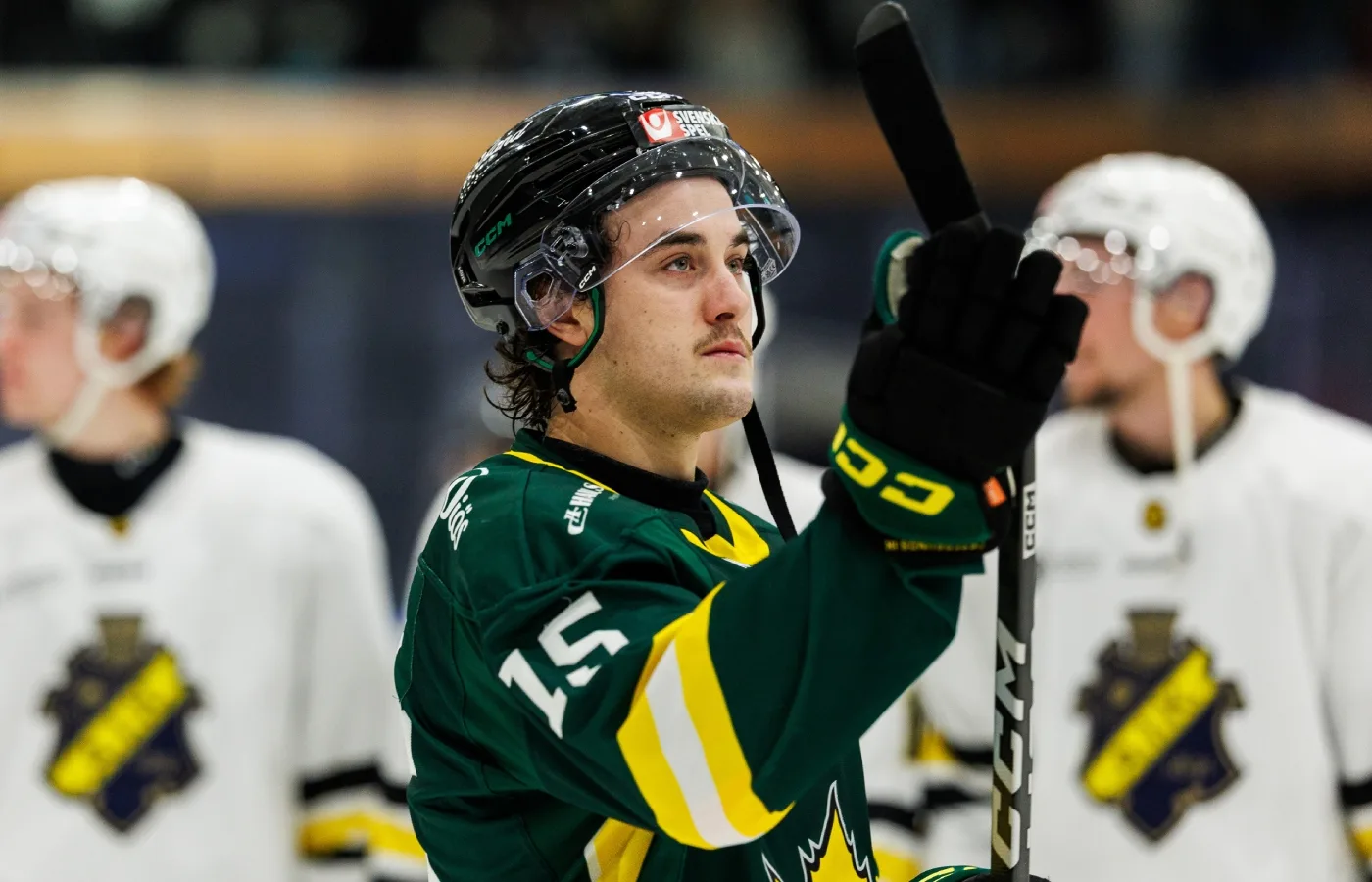 Får ny chans i Hockeyallsvenskan