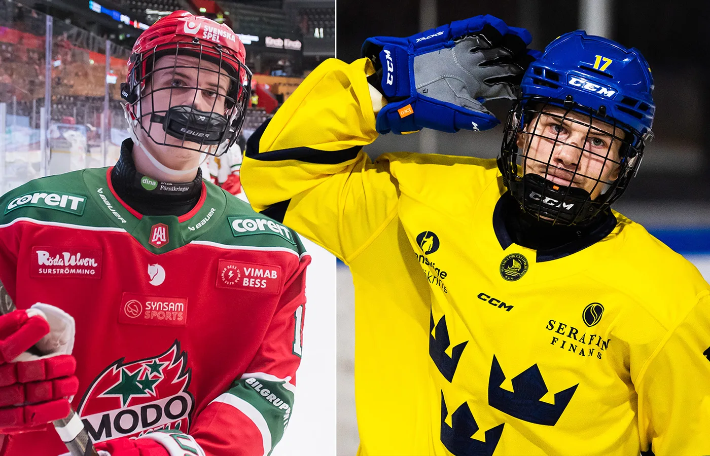 MoDo-löftet tackar nej till landslaget