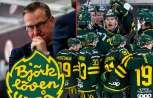Bogrens Björklöven flyger: ”Gillar att vara jagade”