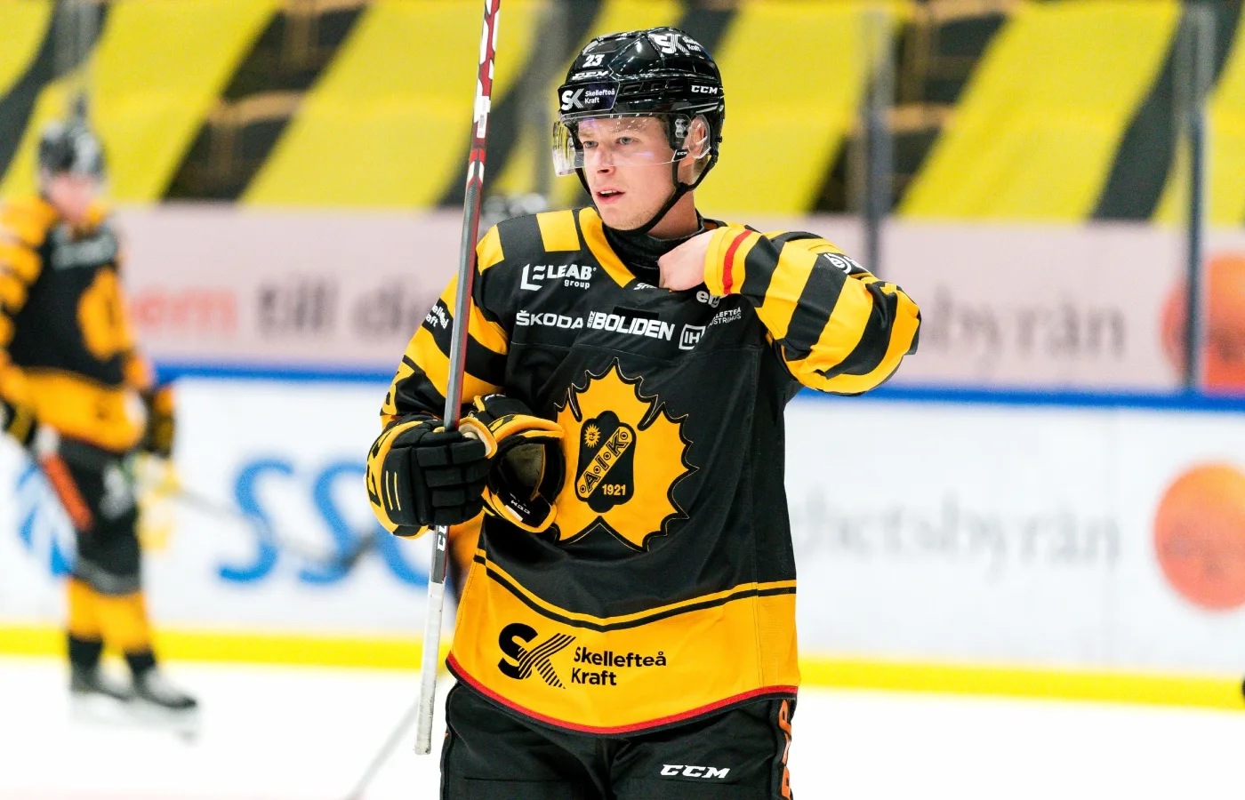 Här är tidigare SHL-svenskens nya klubb: ”Vet vad vi får”