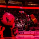 Malmö drar sig ur Svenska cupen