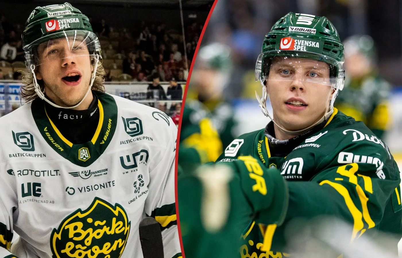 Björklöven förlänger med starka duon