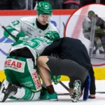 Rögle ger besked om stjärnan: ”Ingen hjärnskakning”