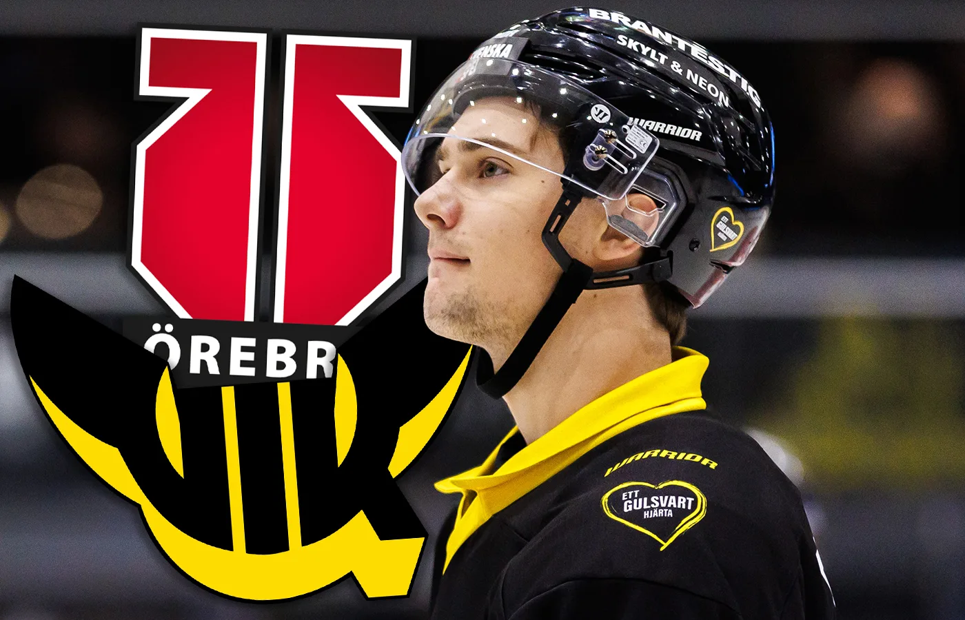 Talangens svar om framtiden efter tiden i SHL