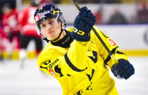 Eklund utslagen ur AHL-slutspelet