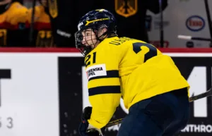 ”Ingen annan i det svenska laget kan göra det”