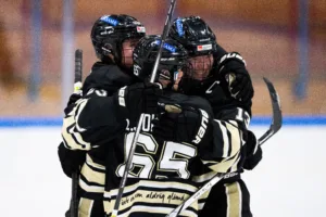 Svårstoppade SDE fortsätter vinna – 6–2 mot HV 71