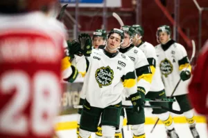 Seger för Björklöven mot Luleå