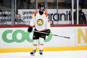 Brynäs vann på hemmaplan mot Leksand