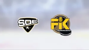 Tung seger för SDE i toppmatchen mot Flemingsberg